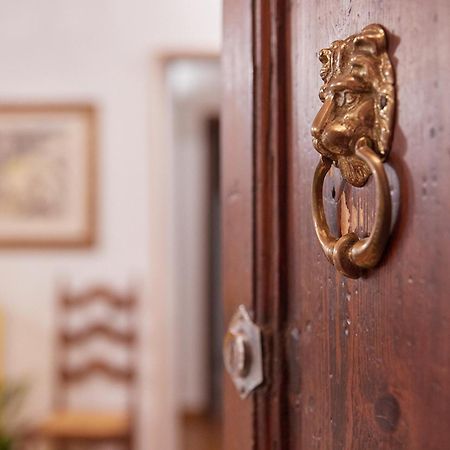 Ferienwohnung La Mi Casa A Pisa Exterior foto